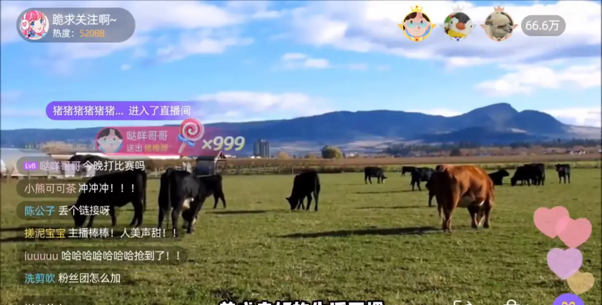 2009年属牛2024年考运好不好(4)