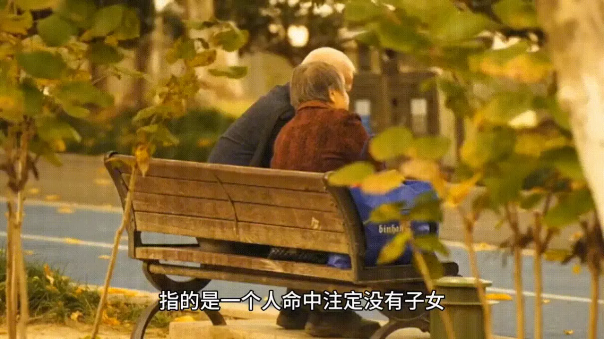 无子是指无孩子还是没儿子(1)