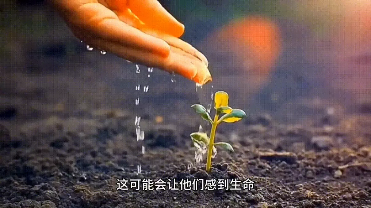 无子是指无孩子还是没儿子(2)
