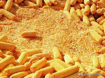 梦见芝麻和花生粒什么意思周公解梦(2)