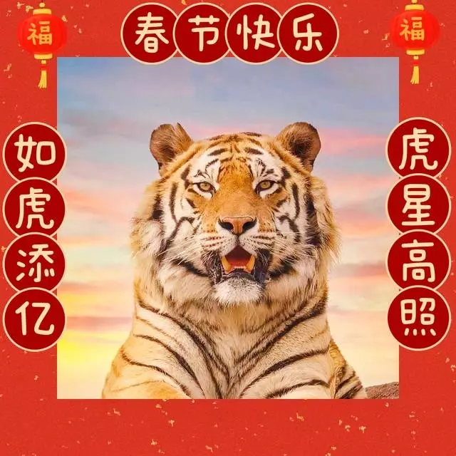 属虎男早上5至6点出生运势好不好呢(4)