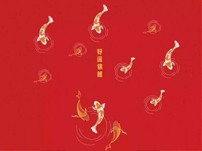 生肖猪2023年全年事业运势如何呢(1)