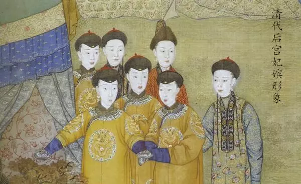 九子夺嫡每个人的命运都不一样吗(1)