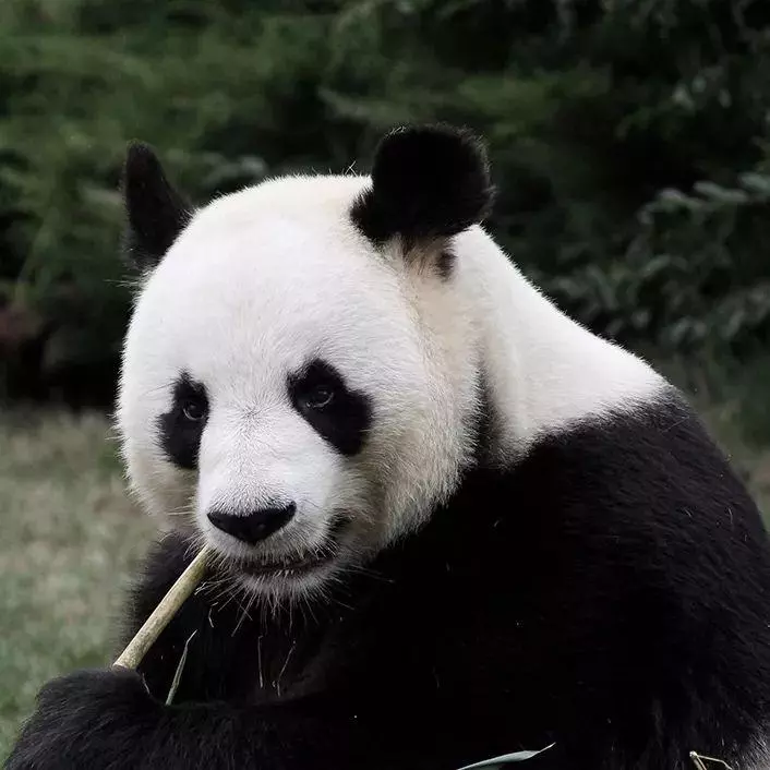 十二星座被扒了衣服后的反应(5)