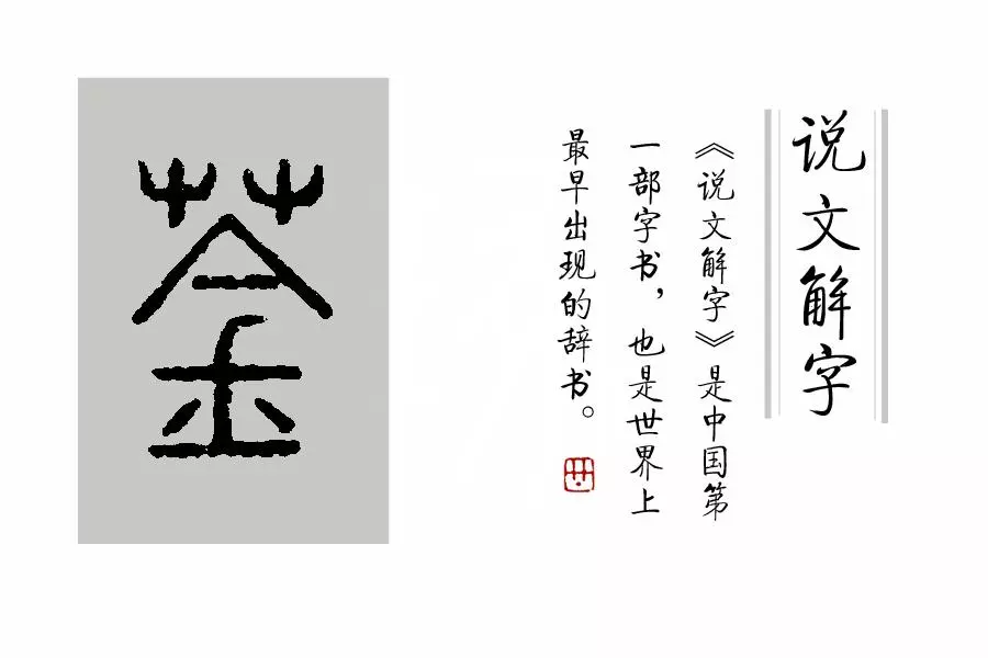 莶怎么读音是什么意思(10)