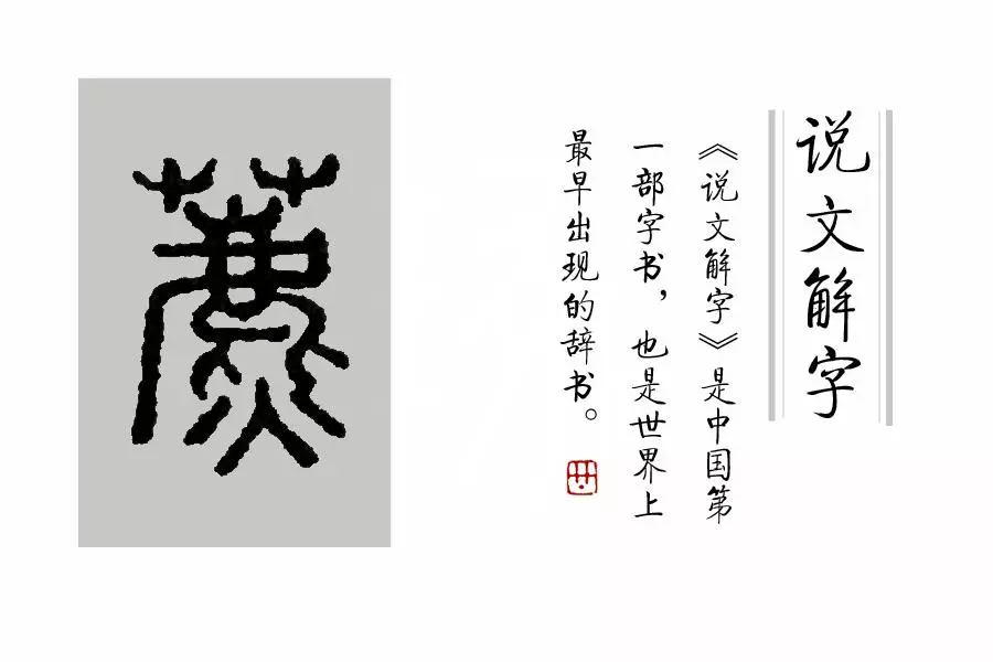 莶怎么读音是什么意思(16)