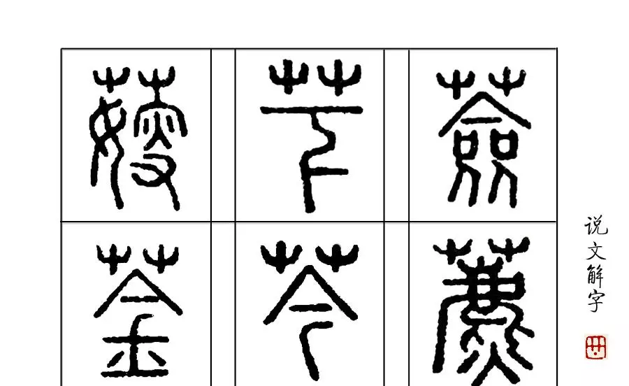 莶怎么读音是什么意思(1)
