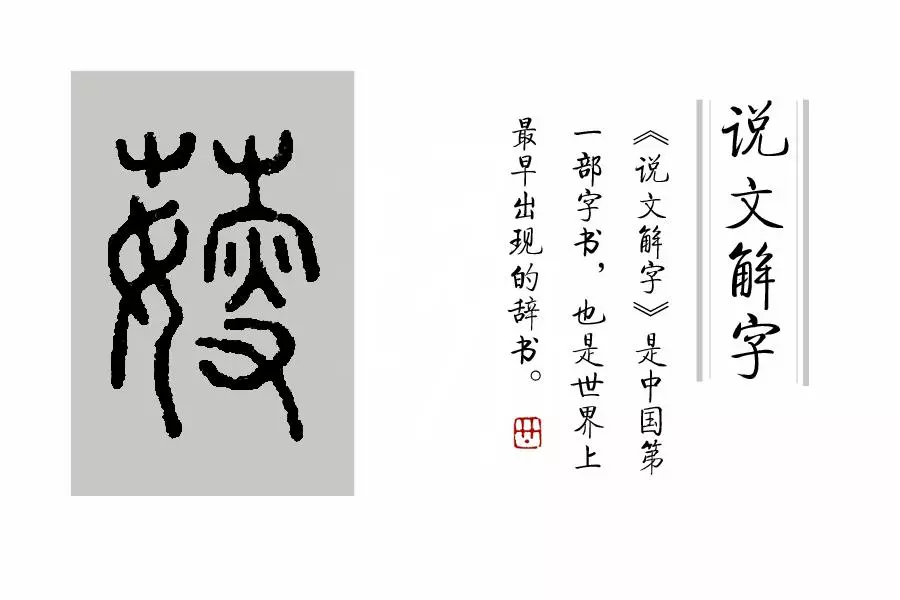 莶怎么读音是什么意思(3)