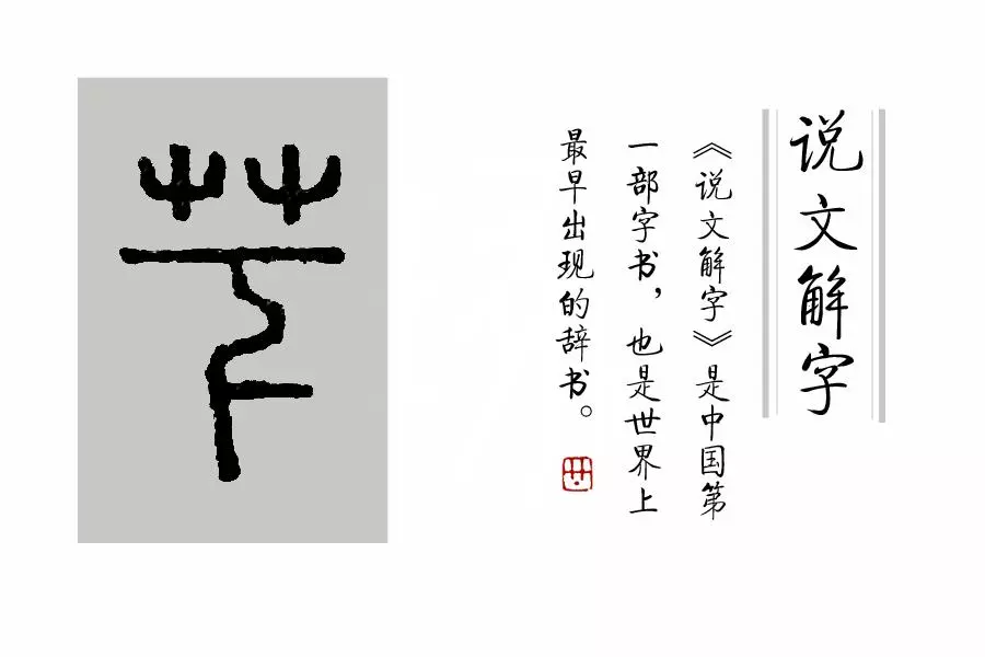 莶怎么读音是什么意思(5)