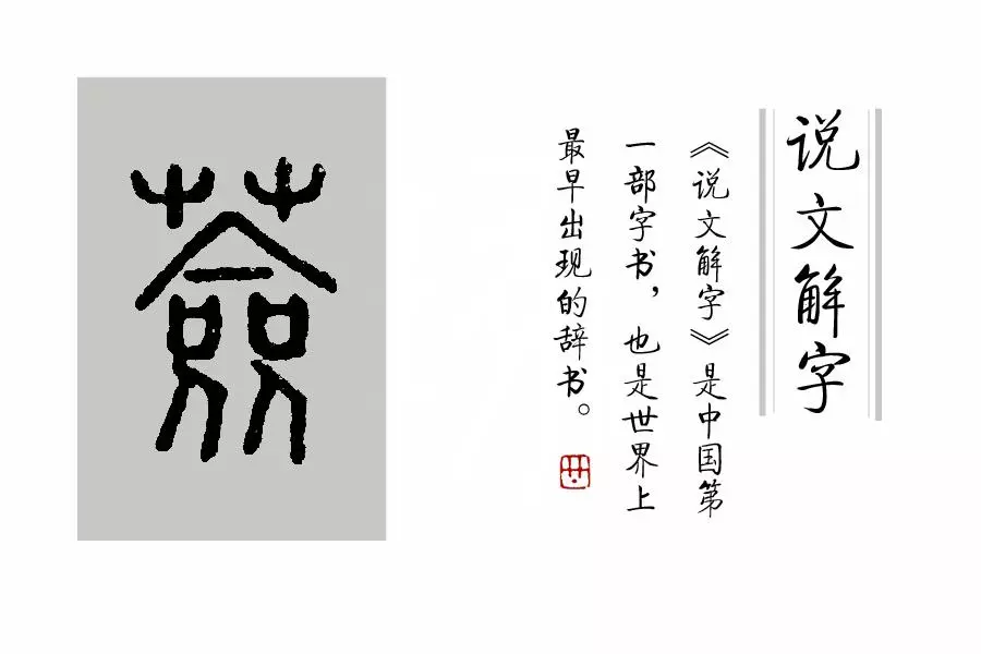 莶怎么读音是什么意思(8)
