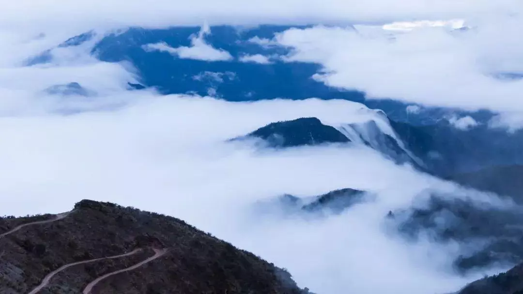 唯美爱情八字成语有哪些(1)