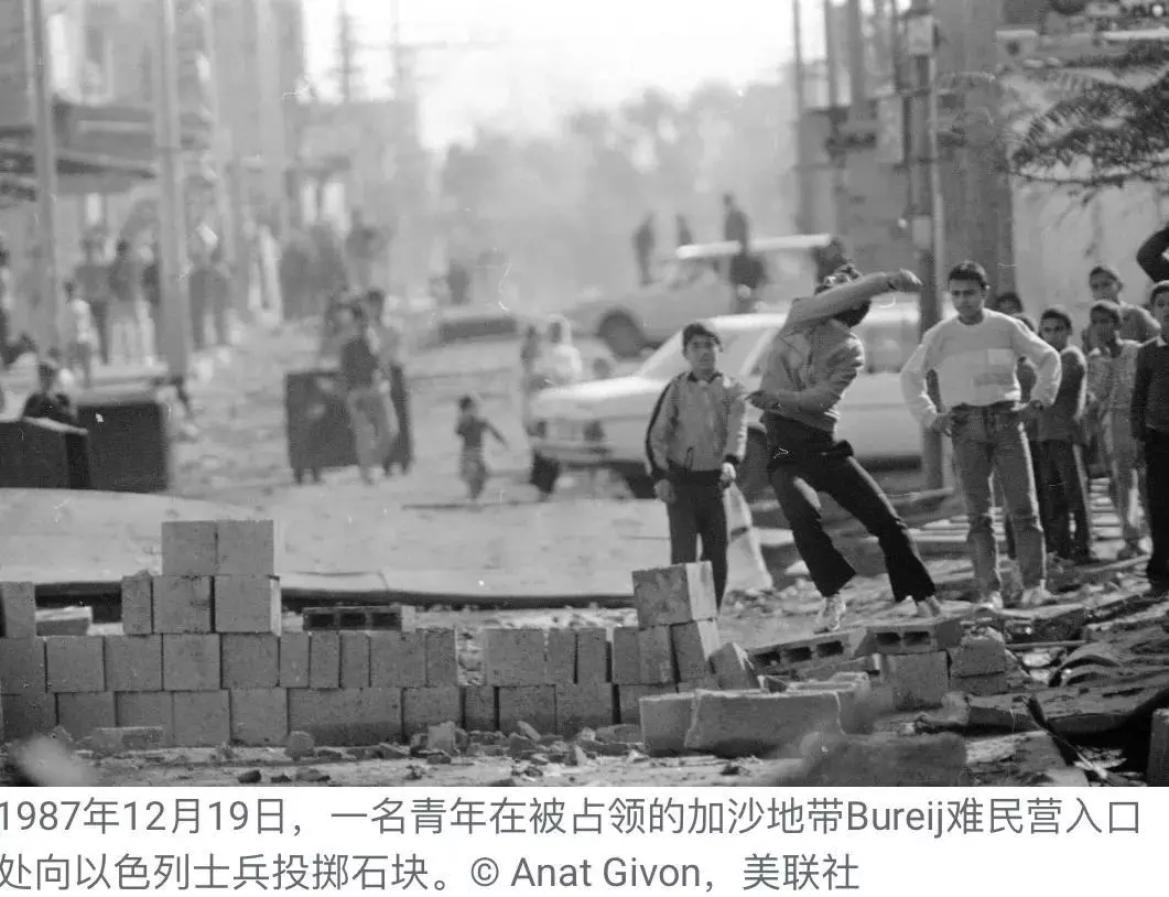 1947年属猪危险2023年哪个月(3)