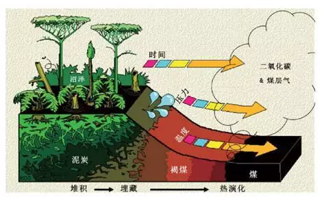 梦见别人用煤炭烧火是什么预兆周公解梦(1)