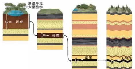 梦见别人用煤炭烧火是什么预兆周公解梦(2)