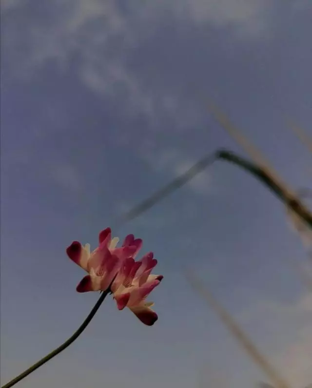 94年九月二十八出生的人命运如何呢(1)