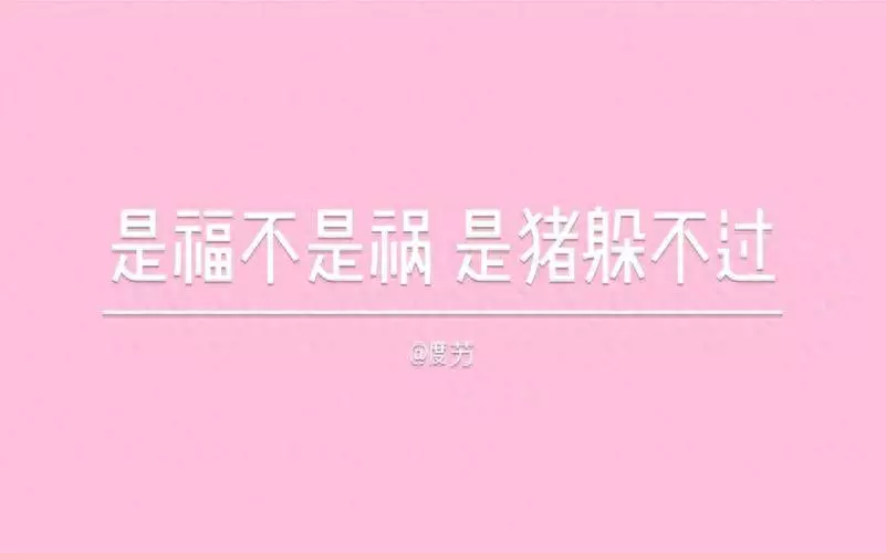农历11月初十的猪宝宝命运好吗(1)