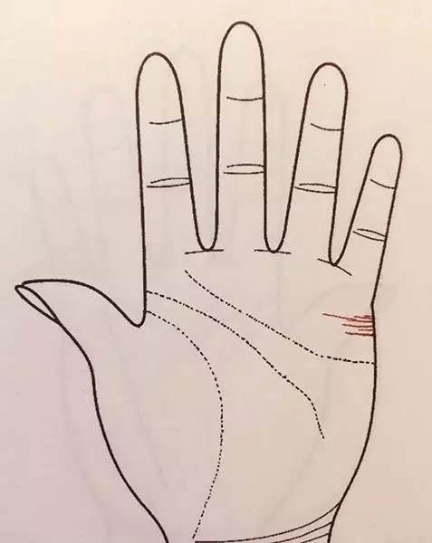 从手相中的婚姻线看你的婚姻运势(10)