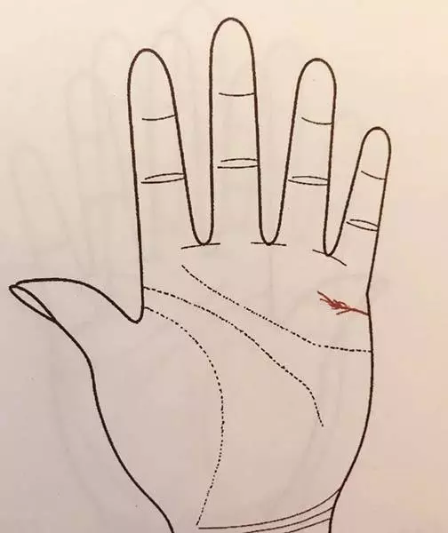 从手相中的婚姻线看你的婚姻运势(14)