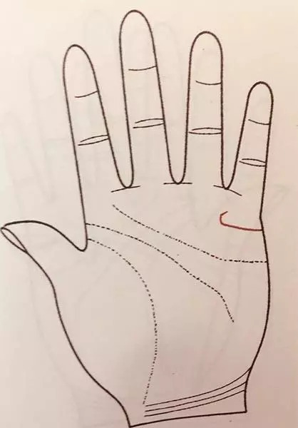 从手相中的婚姻线看你的婚姻运势(15)