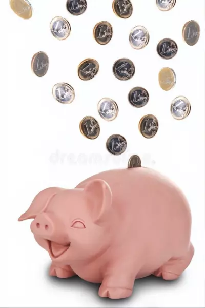 属猪运势2019年运势如何(1)