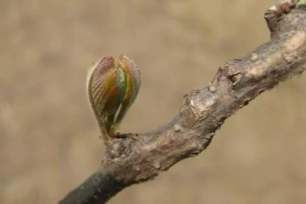 看图测你的运势哪方面好(4)