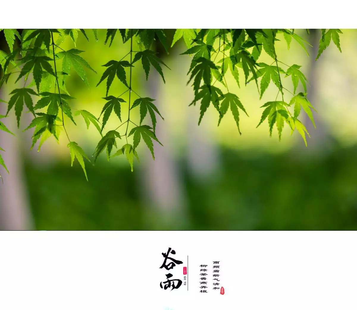 金牛座男是几月到几月出生的命运最好(3)
