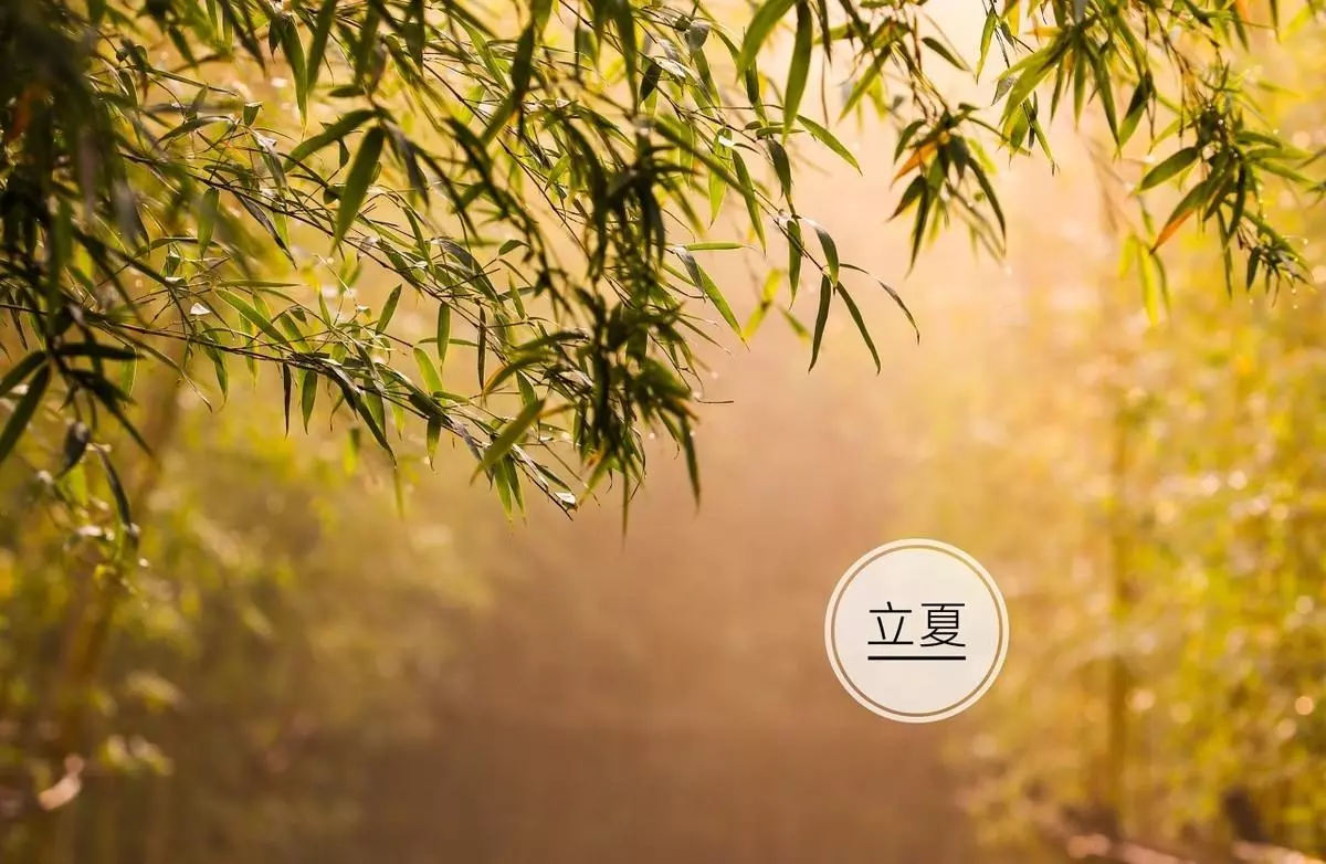 金牛座男是几月到几月出生的命运最好(7)
