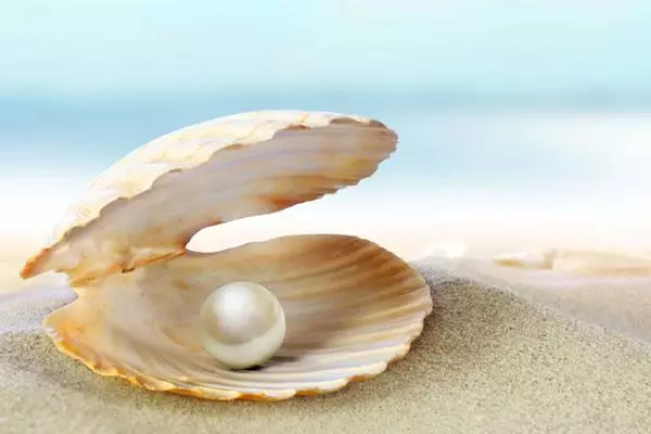 怀孕后期做梦梦到黑蛇是什么情况周公解梦(2)