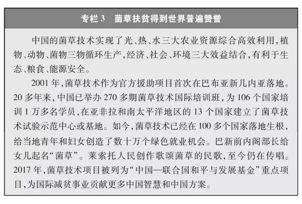 构建人类命运共同体中国采取了哪些行动2020年(6)