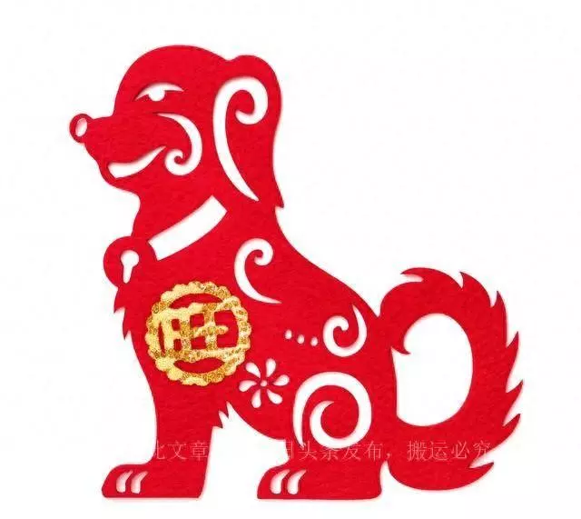 农历二月份出生属狗的运势怎样呢女孩(1)