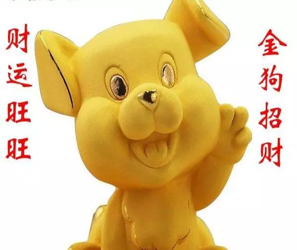 农历二月份出生属狗的运势怎样呢女孩(4)