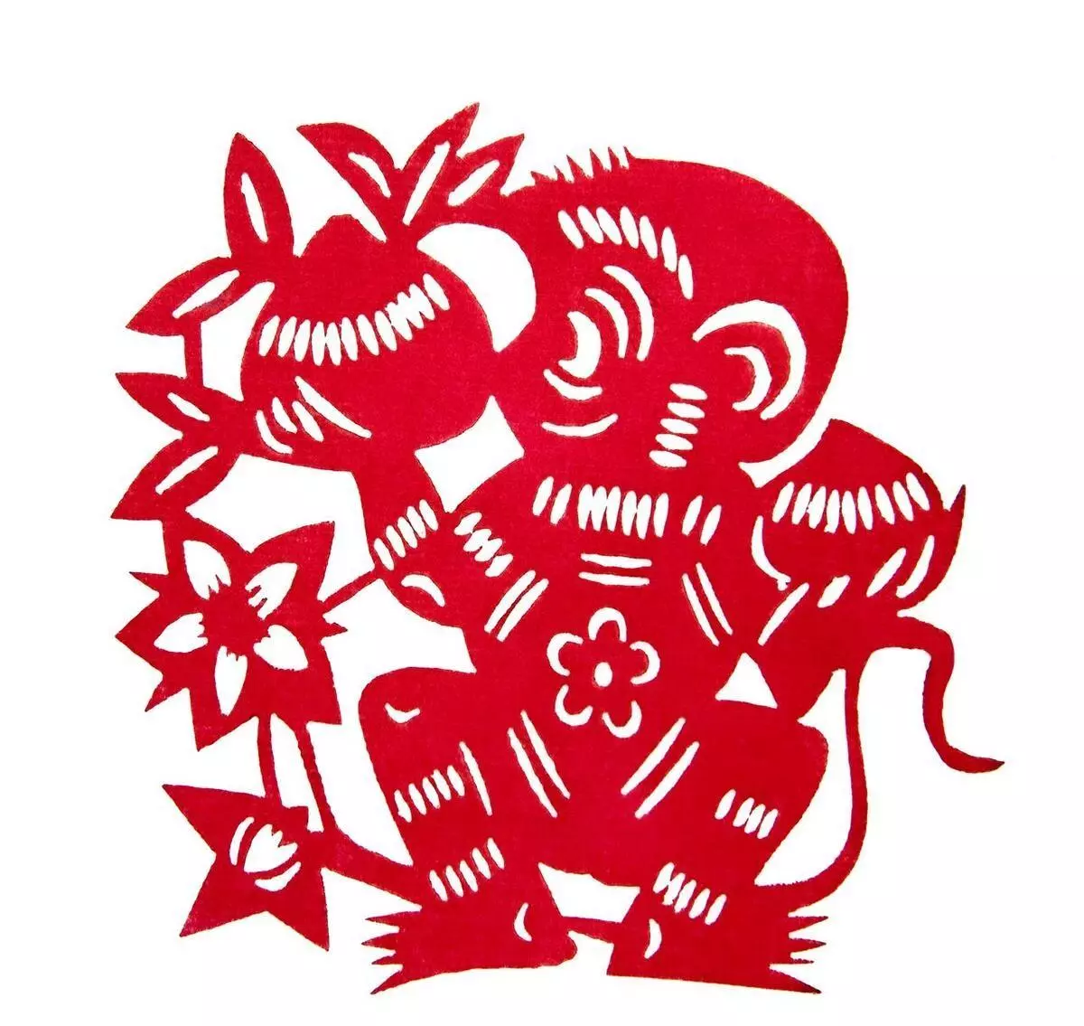 100多岁属猴的是哪年生的孩子命运(12)