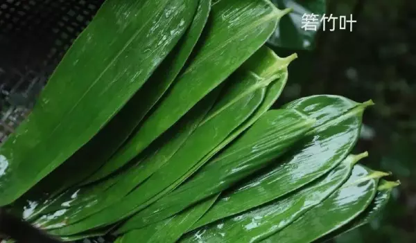 梦到包粽子的叶子是啥意思呀周公解梦(1)