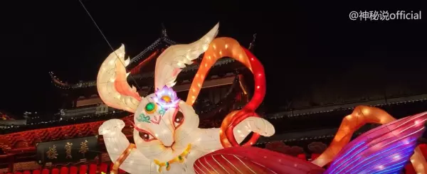 属兔今年运势2023年运势如何(3)