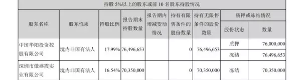 恒立实业发展集团股份有限公司成立时间(8)