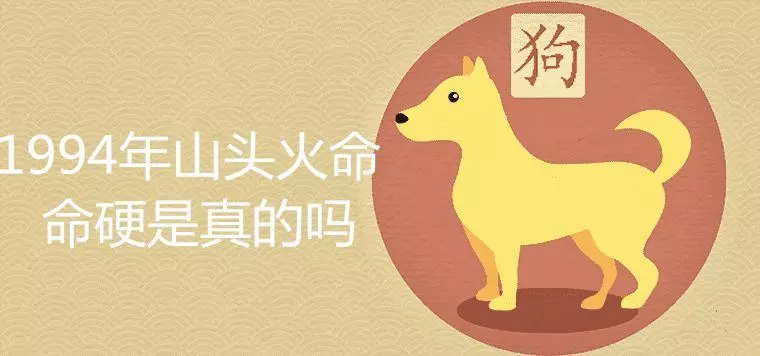 属狗1994山头火命缺什么怎么看出来(2)