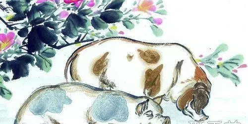 1947年属猪人今年运势怎样呢女孩(3)