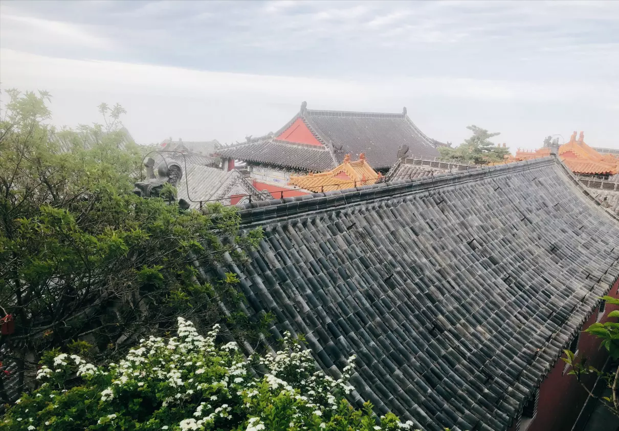 梦见念佛变成菩萨周公解梦是啥意思啊(2)