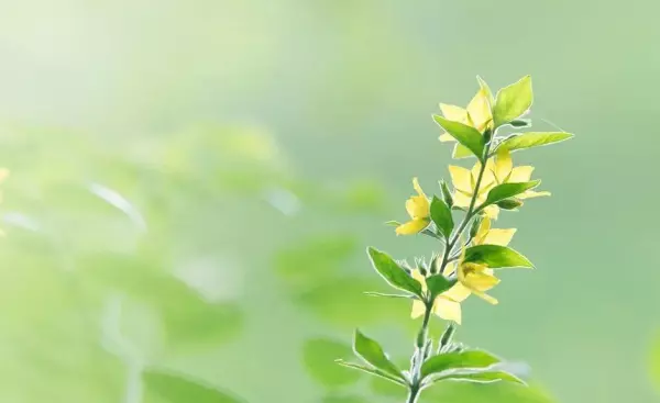 家里有人怨气重对其他人运势的影响有多大(4)