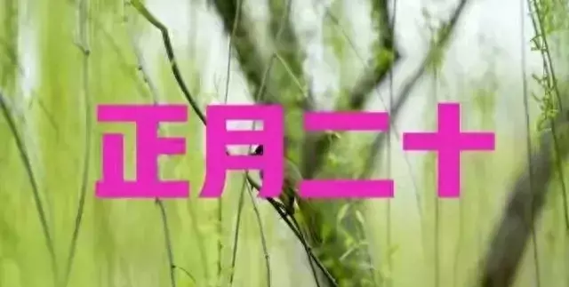 2023年正月二十出生的男宝命运好不好呢(1)