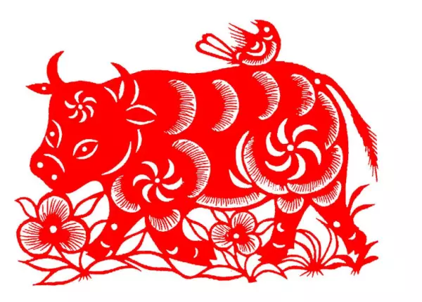 属牛的人2019年的运势和健康如何(1)