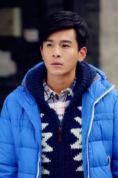 有一个明星叫什么振宇(17)