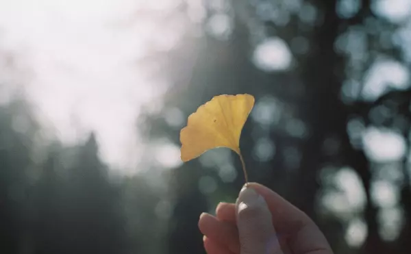 男生说铁娘子是什么意思(6)