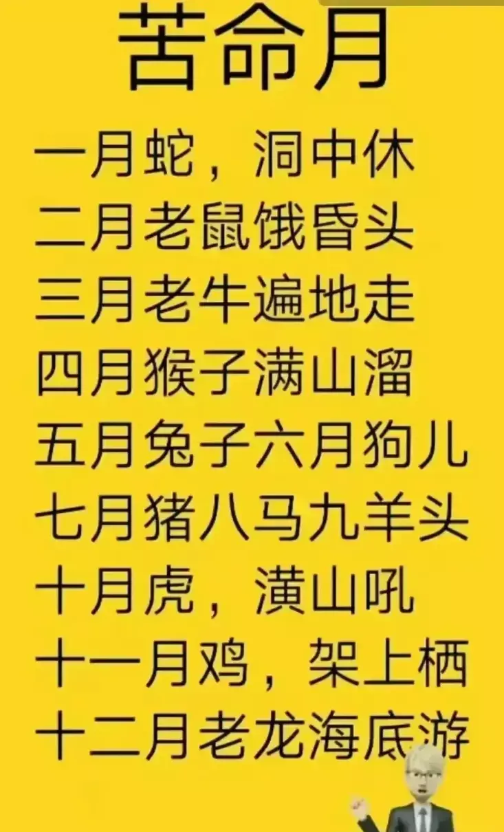 2022年阳历十二月出生的命运如何呢(3)