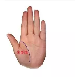 手相图解手相女怎么看(5)