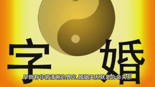 怎么样说明两个人共同命运的关系(1)