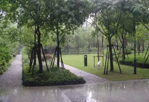 采荷中学怎么样(6)