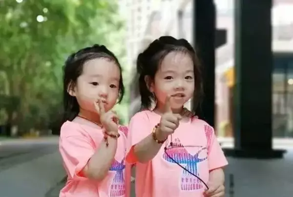 属狗今年运势2024年运势如何看(2)