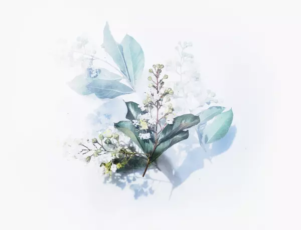 人到中年后才明白一切皆是命运的意思是什么(1)