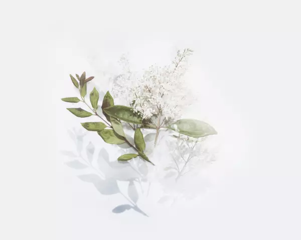 人到中年后才明白一切皆是命运的意思是什么(6)